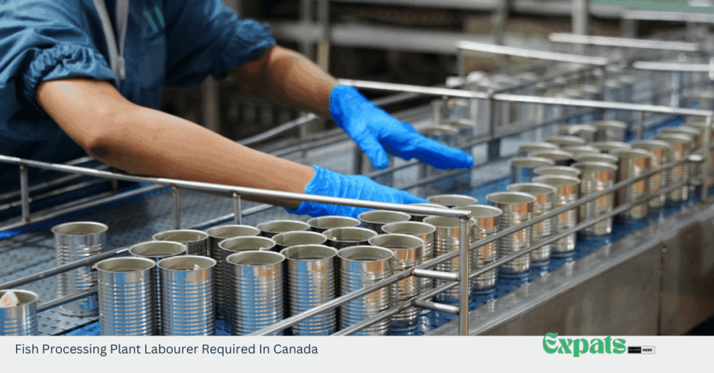 Fish Processing Plant Labourer Required In Canada