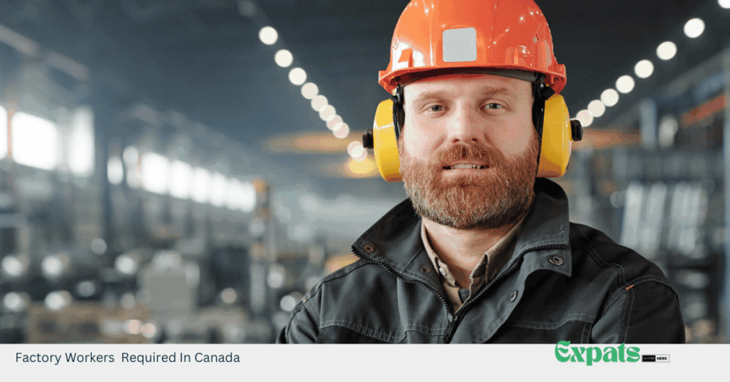 Factory Workers Required In Canada