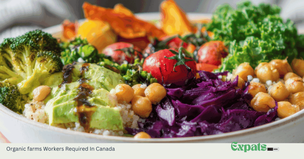 Organic farms Workers Required In Canada
