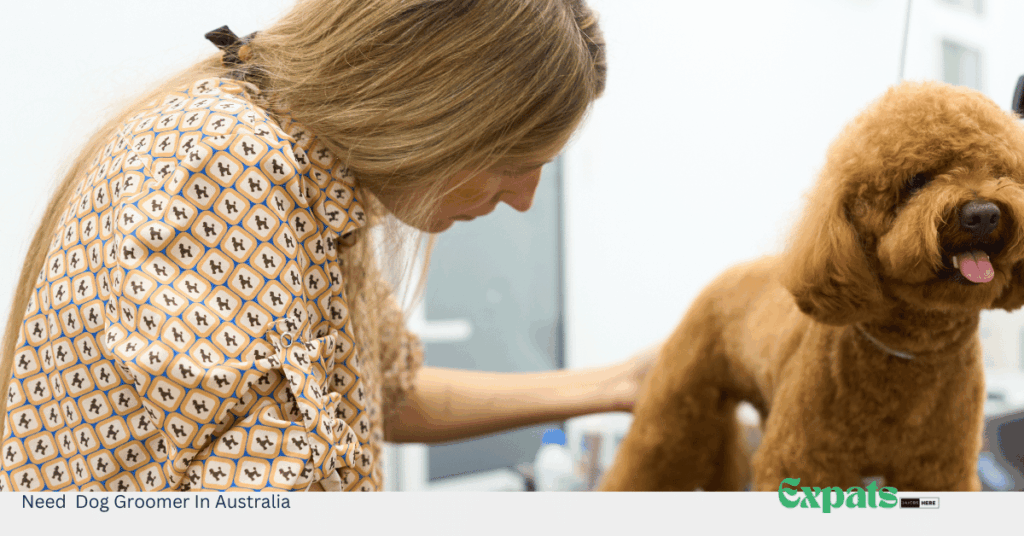 Need Dog Groomer In Australia