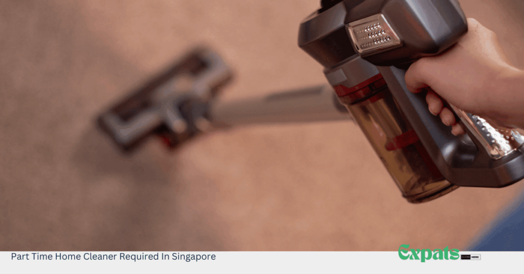 Part Time Home Cleaner Required In Singapore