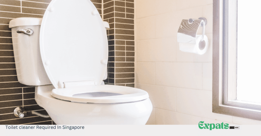 Toilet cleaner Required In Singapore
