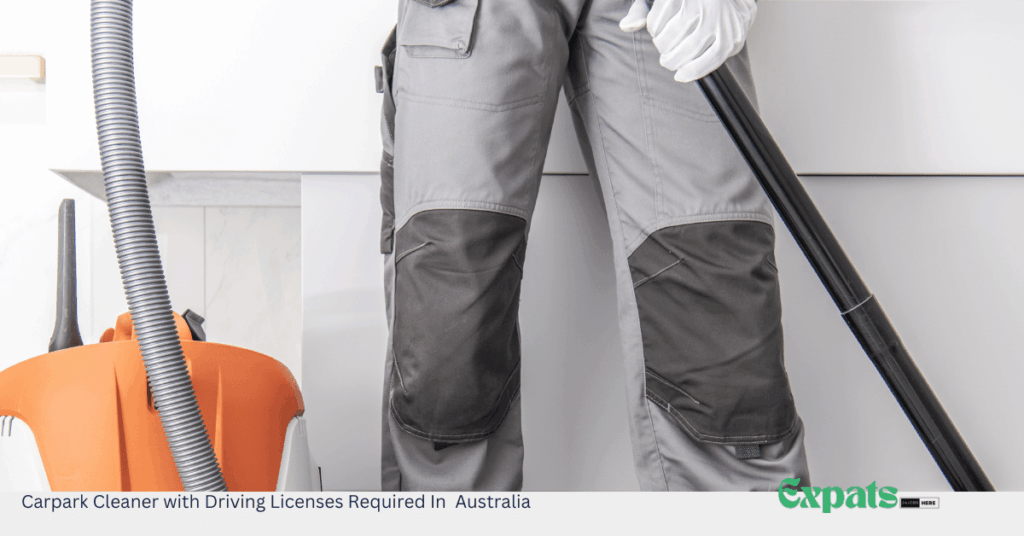 Carpark Cleaner with Driving Licenses