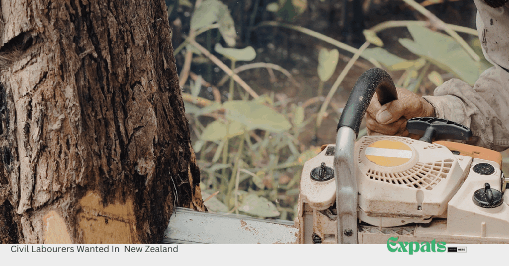 Civil Labourers Wanted In New Zealand