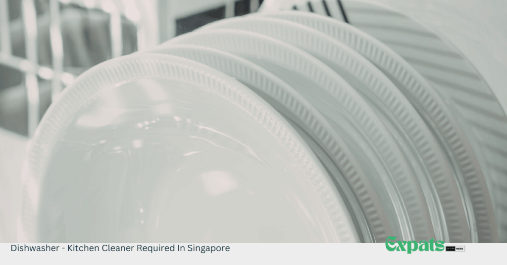 Dishwasher - Kitchen Cleaner Required In Singapore