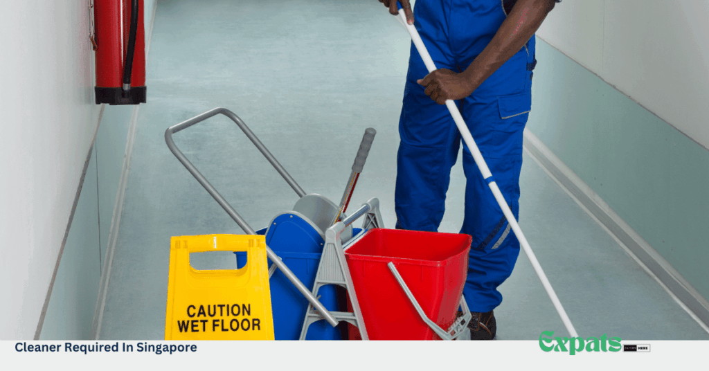 Cleaner Required In Singapore