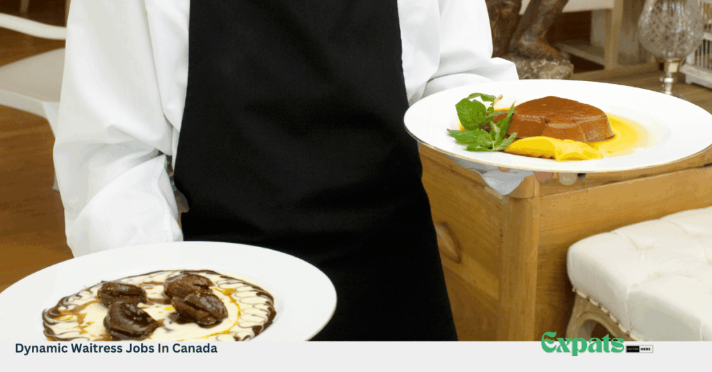 Dynamic Waitress Jobs In Canada