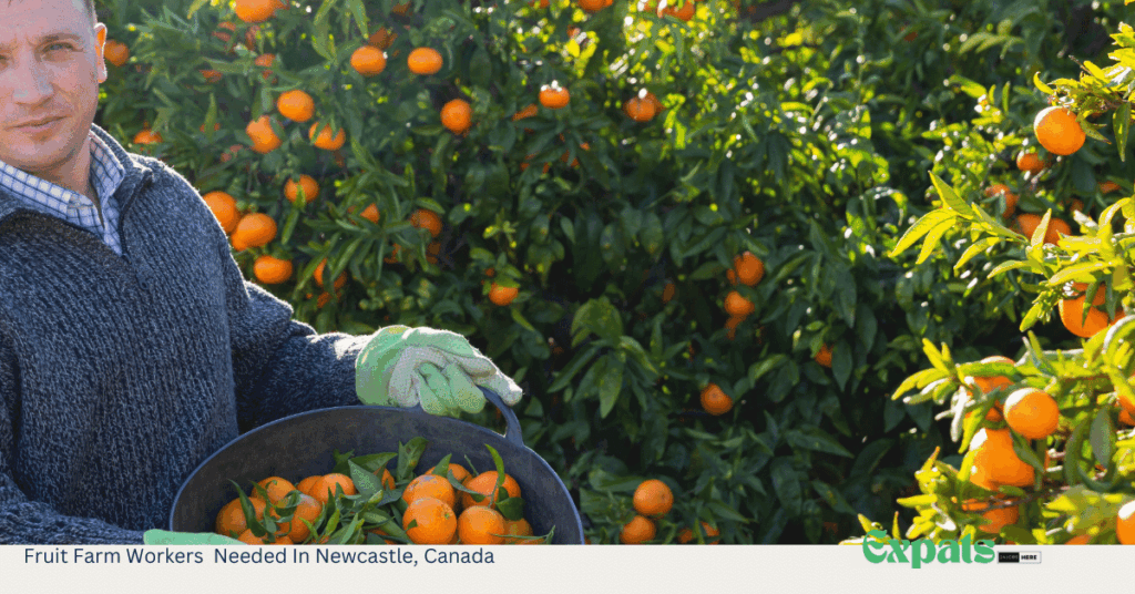 Farm Workers Needed In Aldergrove Canada