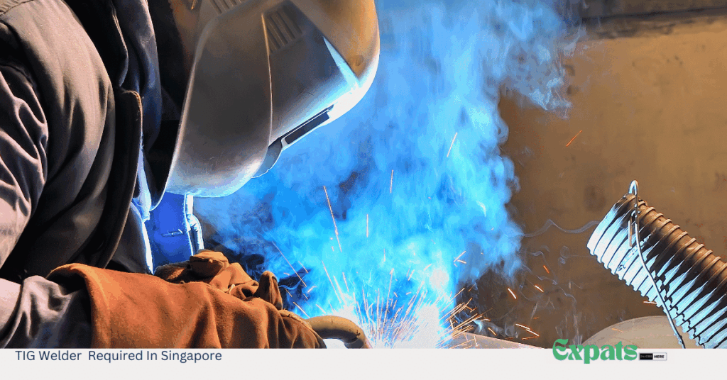 TIG Welder Required In Singapore